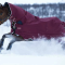 Bäst vintertäcke till häst 2022 – håll hästen varm vid kallt väder
